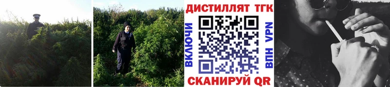 KRAKEN tor  площадка клад  ТГК вейп  как найти закладки  Поронайск 